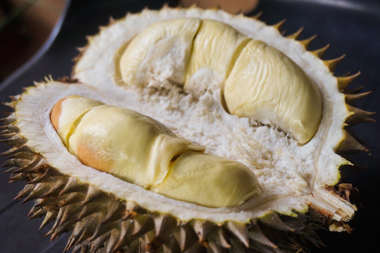 durian, fruit, food-6566322.jpg