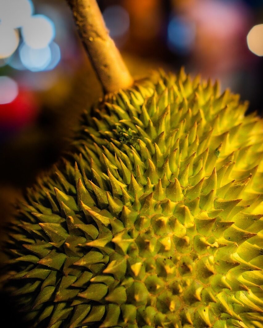 durian, green, ripe-4322204.jpg